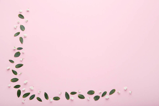 Stems with green leafs and white leafs on pink background - Foto, immagini