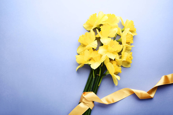 Yellow narcissus flowers on purple background - Foto, imagen