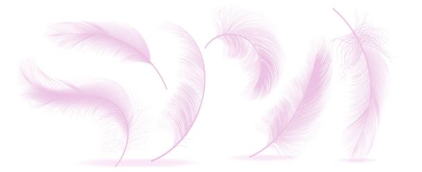 Set Plumas Rosa Vector. Diferentes plumas giradas esponjosas cayendo. Sueño saludable, sueños. Ilustración aislada
 - Vector, imagen