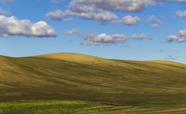 geploegd veld met heuvels en sommige cloudes - Foto, afbeelding