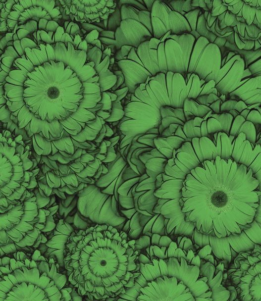 Patrón de flores verde
 - Foto, Imagen