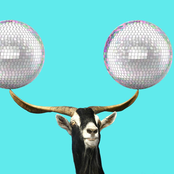 Сучасне мистецтво колаж, коза тримає диско м'яч на рогах
 - Фото, зображення