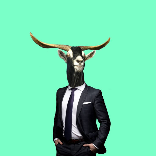 Çağdaş sanat kolaj, keçi ile bir takım elbise - Fotoğraf, Görsel