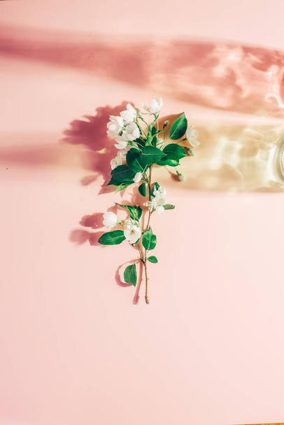 Manzano en flor sobre un fondo rosa pastel, reflejos de color. Sombras duras. Minimalismo de primavera
 - Foto, imagen