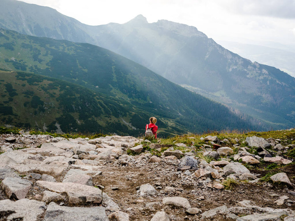 Kız yakın Polonya ve Slovakya, Slovak Dağları yaz aylarında yalnız yüksek bir kız yürüyüş görünümü Tatras Dağları üstünde. - Fotoğraf, Görsel