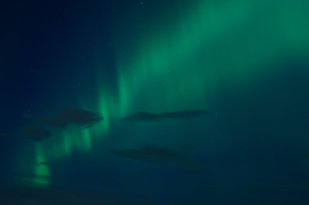 Aurora boreal (Aurora boreal)
) - Foto, Imagen