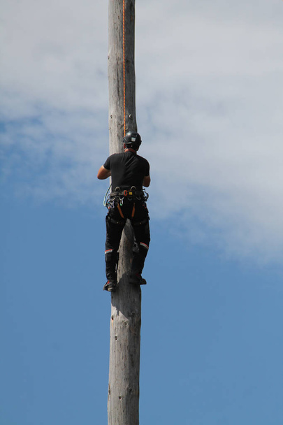 Un leñador escalando un poste alto de madera vertical
. - Foto, Imagen