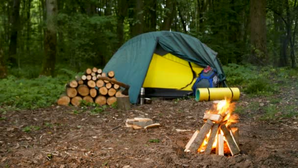たき火、キャンプファイヤー木材の屋外で 4 k. 観光夜のひととき - 映像、動画
