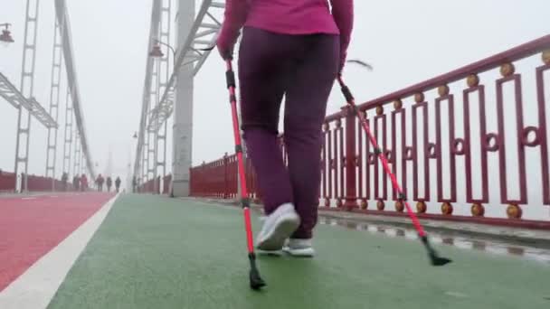 Nordic walking. Young chubby Caucasian woman hiking with the Nordic poles. Close up Back Follow Shot. Slow motion - Video
