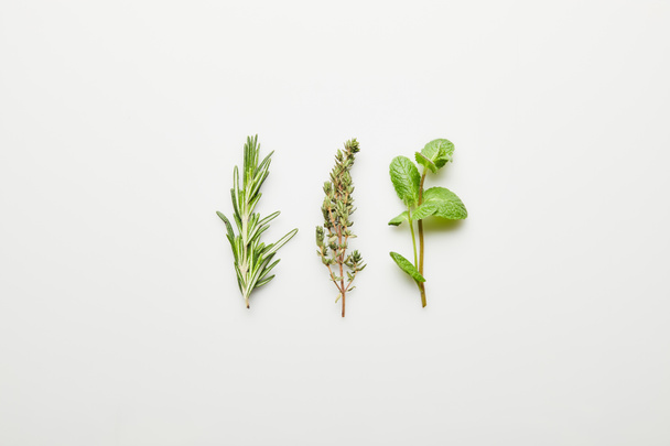 Top view of rosemary, thyme and mint on white background - Photo, image