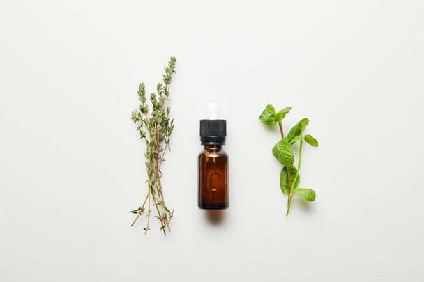 Top view of essential oil, thyme and fresh mint on white background - Foto, Imagem