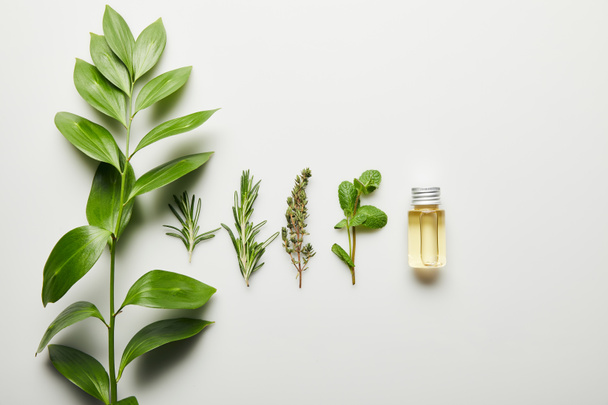 Верхний вид эфирного масла и зеленых трав на белом фоне
 - Фото, изображение