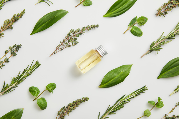 Flat lay with essential oil and fresh herbs on grey background - Valokuva, kuva