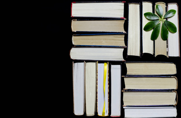 Many multicolored thick open books stand on a dark background. On the books are old round glasses and an open notebook with a pencil. - Photo, Image