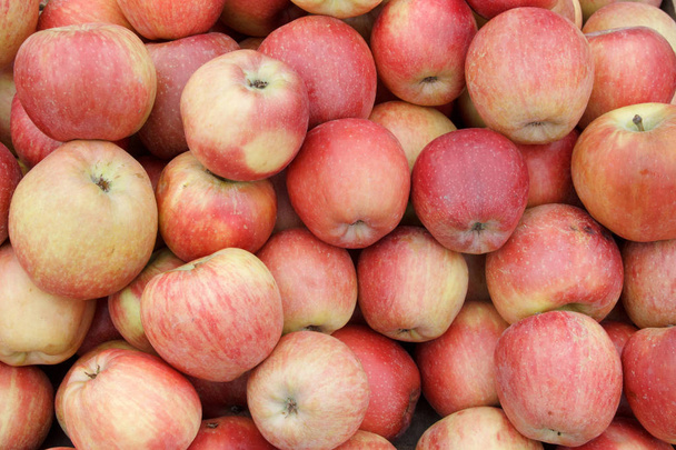 Beaucoup de pommes de variété affamée comme backround
 - Photo, image
