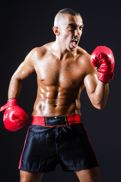 Боксер в красных перчатках в темной комнате
 - Фото, изображение