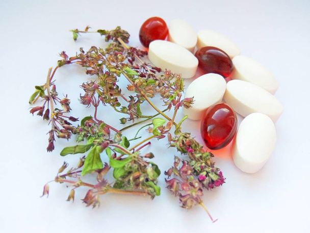 Bylinné léky pilulky se suchými přírodními bylinkami na bílém pozadí. Koncept rostlinné medicíny a doplňků stravy, biologicky aktivních přísad a vitamínů. Zavřít fotografii - Fotografie, Obrázek