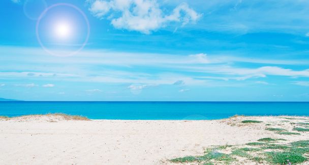 белый песок и яркое солнце
 - Фото, изображение