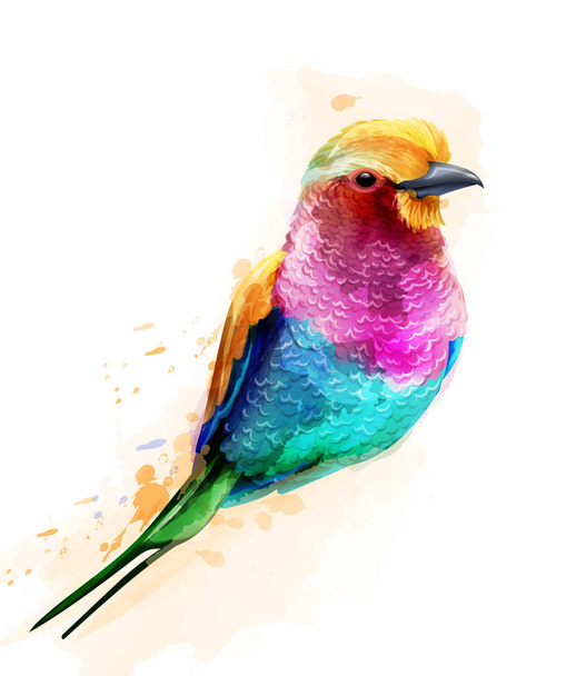 Tropic colorful bird Vector watercolor. Cute small bird illustrations - Вектор, зображення
