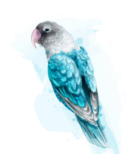 Tropic renkli papağan kuş vektör suluboya. Şirin kuş illüstrasyon. splashs mavi renkler - Vektör, Görsel