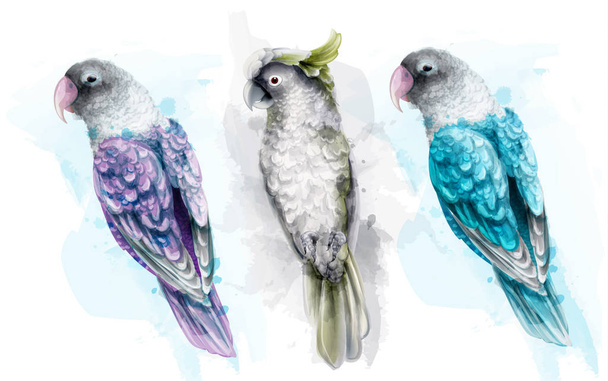 Colorful tropic parrot birds watercolor Vector. Beautiful exotic set collections - Vektör, Görsel