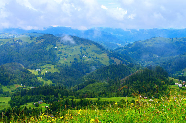 カルパティア山脈、美しい自然の風景の山の斜面。ウクライナ - 写真・画像