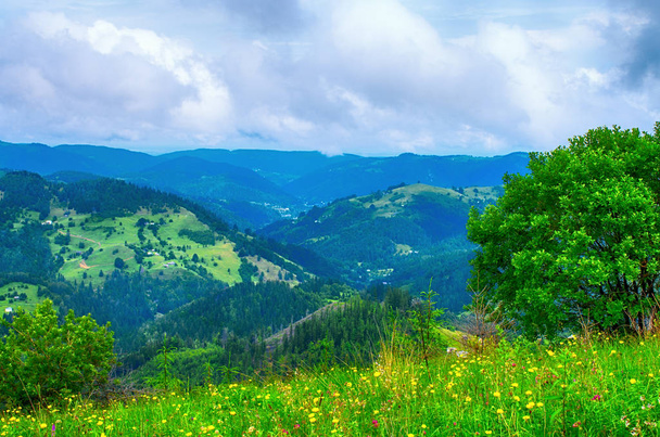 πλαγιές των βουνών των Καρπαθίων, ένα πανέμορφο φυσικό τοπίο. Ουκρανία - Φωτογραφία, εικόνα