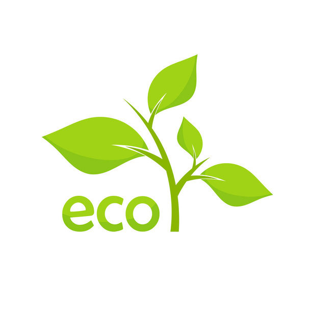 Eco green plant icon. - Vektor, kép