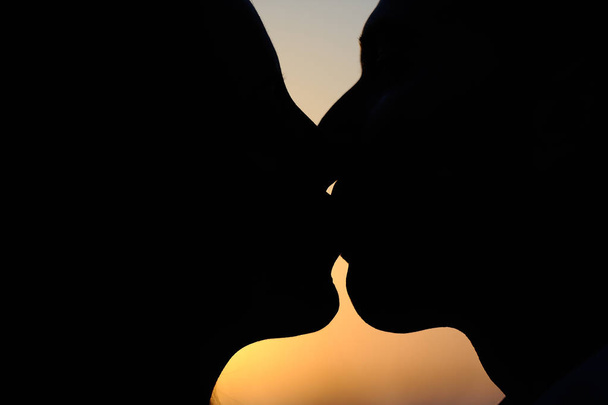 силуэт боковых лиц, целующихся на фоне заката оранжевых цветов
 - Фото, изображение