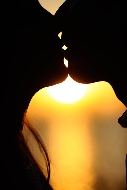 サイドのシルエットは、オレンジ色の夕日を背景にキス顔します。 - 写真・画像