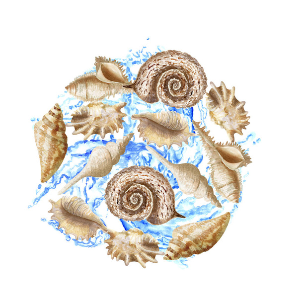 Aquarel ronde vorm samenstelling met schelpen en water spatten - Foto, afbeelding