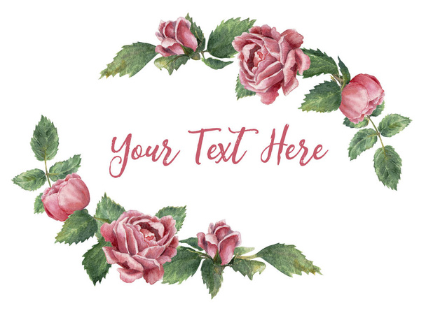 Dva oboustranné rám vyrobený z růžové kvetoucích růží, izolované na bílém, ručně tažené Botanická ilustrace. - Fotografie, Obrázek