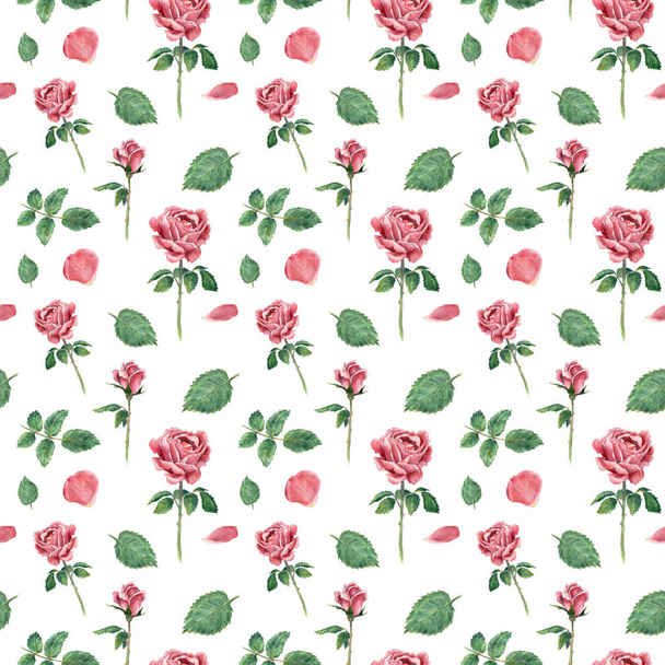 Seamless pattern, made of pink blooming roses, hand drawn botanical illustration, isolated on white. - Foto, immagini