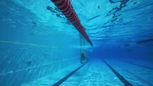 Mulher bonita subaquática nadando na piscina clara
 - Filmagem, Vídeo