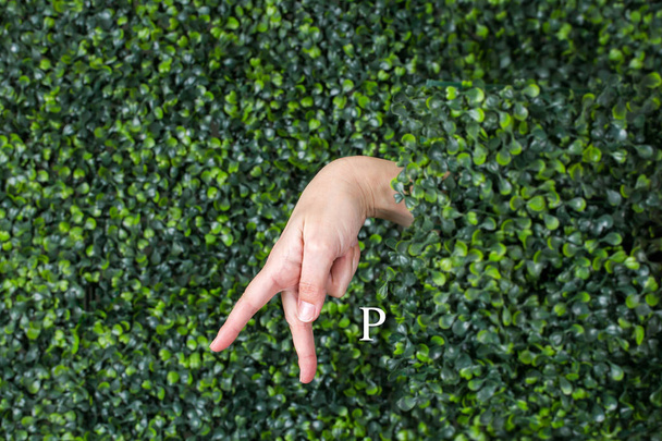 język migowy litera p - Zdjęcie, obraz