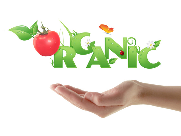 Mão segurando palavra "orgânico" design ecológico
 - Foto, Imagem