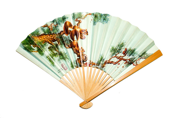 Continental Hand Fan on White Background  - Photo, Image