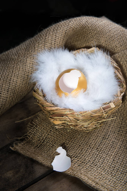 Σύμβολο επιτυχίας ή έννοια καλό Πάσχα. Άδειο σπασμένα μεγάλο χρυσό αυγό σε ένα ρουστίκ ξύλινα φυσικό υπόβαθρο - Φωτογραφία, εικόνα