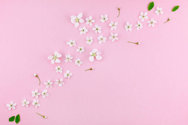 Fehér tavaszi virágok virágzó cseresznyefa mintás - Fotó, kép