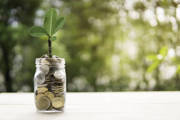 The growing tree from coins in the glass jar on blurred green natural background with sun light effect and copy space for business and financial growth concept. - Fotografie, Obrázek
