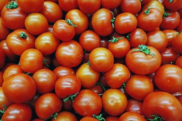 wiele czerwony shiny pomidory w oknie sklep - Zdjęcie, obraz