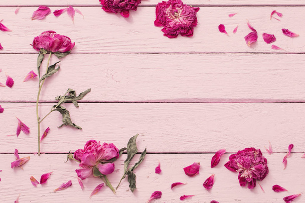dried flowers on pink wooden background - Foto, Imagen