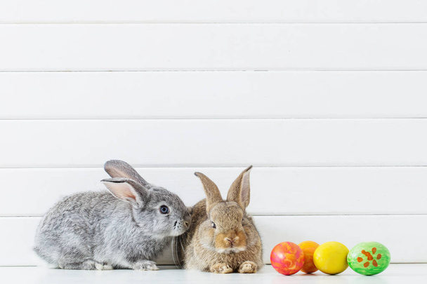 пасхальный кролик с яйцами на белом фоне - Фото, изображение