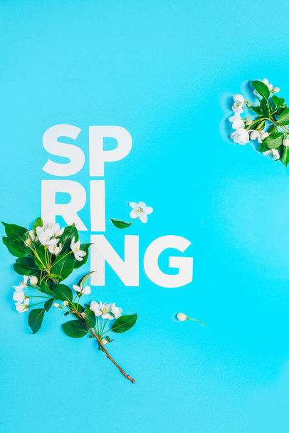 Layout criativo com macieira florescente em um fundo azul. Deitado. Conceito - minimalismo de primavera
 - Foto, Imagem