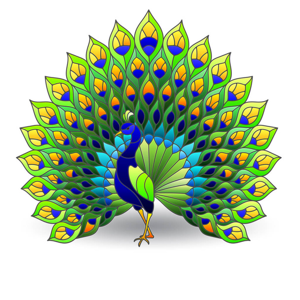 Элемент витража с павлинной птицей, цветные изображения изолированы на белом фоне
 - Вектор,изображение