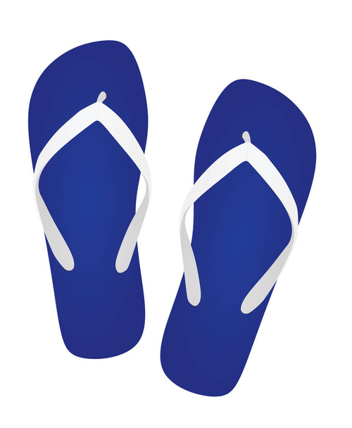 Blue flip flops. vector illustration - Vector, Image
