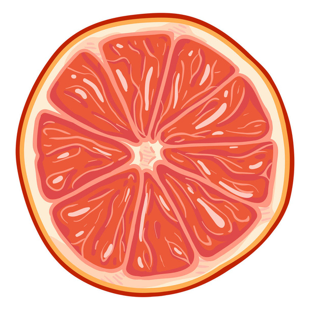 Vector Cartoon Grapefruit Round Slice - Vecteur, image