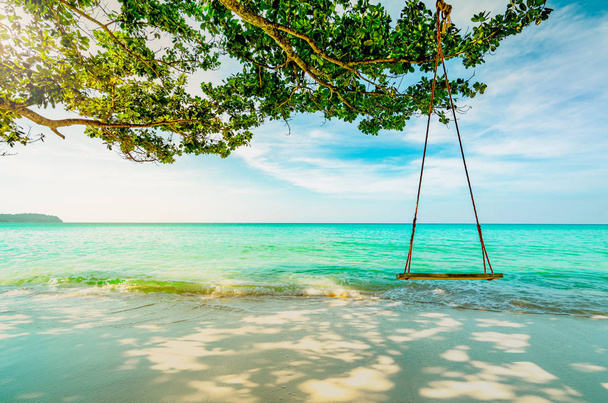 Wooden swings hang from branch of tree at seaside. Emerald green sea water with blue sky and white clouds on summer. Summer vibes. Summer vacation. Empty swings at sand beach with morning sun light . - Photo, Image