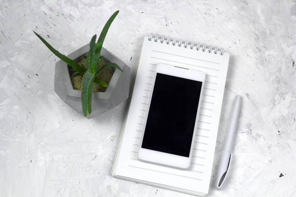 top view mobile phone,notebook,pen, succulent in a concrete pot - Фото, зображення
