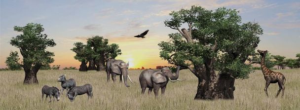Compilatie van verschillende wilde dieren op de Afrikaanse savanne en hemel achtergrond - Foto, afbeelding
